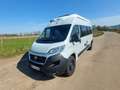 Fiat Ducato 600L Grau - thumbnail 3