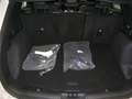 Ford Kuga ST-Line X 2.5 Plug In Hybrid 225 CV CVT Full Optio Blanco - thumbnail 38
