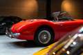 Austin-Healey 3000 Mk1 BT7 2+2 Rot - thumbnail 5