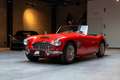 Austin-Healey 3000 Mk1 BT7 2+2 Rot - thumbnail 1