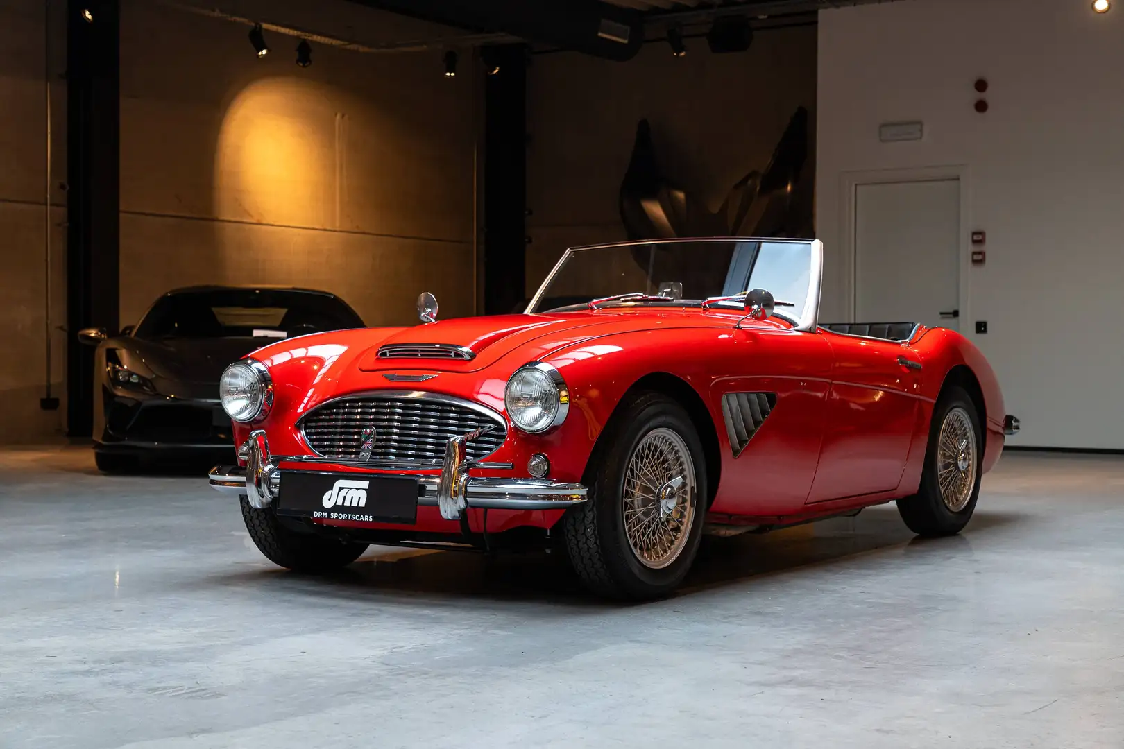 Austin-Healey 3000 Mk1 BT7 2+2 Rot - 1