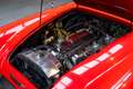 Austin-Healey 3000 Mk1 BT7 2+2 Rot - thumbnail 28