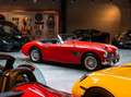 Austin-Healey 3000 Mk1 BT7 2+2 Rot - thumbnail 10