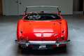 Austin-Healey 3000 Mk1 BT7 2+2 Rot - thumbnail 8