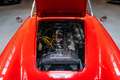 Austin-Healey 3000 Mk1 BT7 2+2 Rot - thumbnail 27