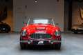 Austin-Healey 3000 Mk1 BT7 2+2 Rot - thumbnail 2
