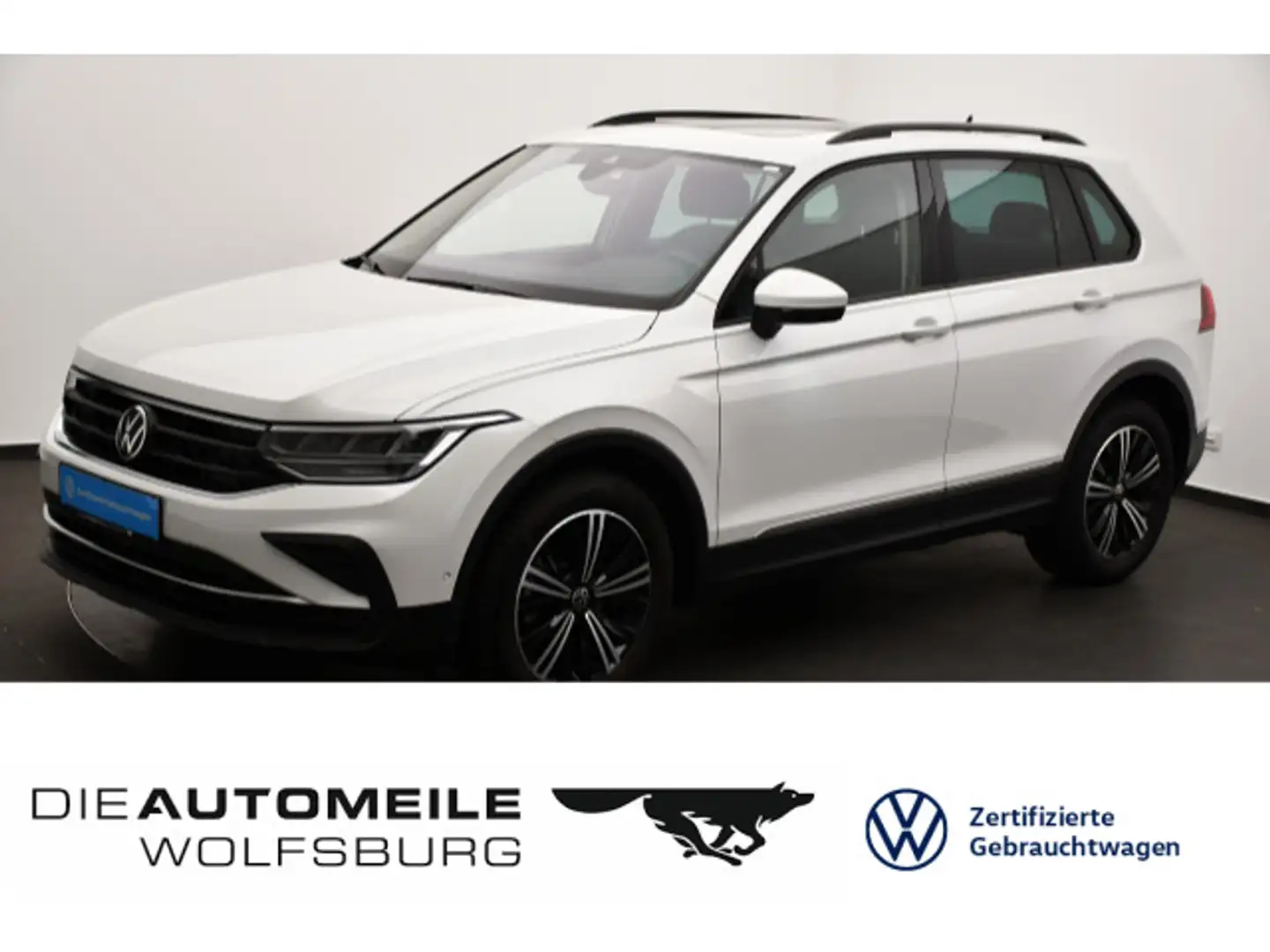 Volkswagen Tiguan 1.5 TSI DSG Life AHK/Pano/Einparkhi Weiß - 1