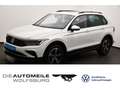 Volkswagen Tiguan 1.5 TSI DSG Life AHK/Pano/Einparkhi Weiß - thumbnail 1