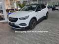 Opel Grandland X 2.0 D 120 Jahre Automatik LED+AHK Blanc - thumbnail 1