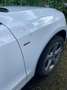 Audi Q5 Q5 2.0 TDI quattro White - thumbnail 6
