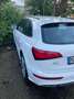 Audi Q5 Q5 2.0 TDI quattro bijela - thumbnail 1