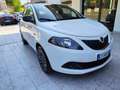Lancia Ypsilon Ypsilon III 2021 1.0 firefly hybrid Platino Blanco - thumbnail 9