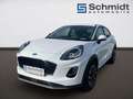 Ford Puma Titanium 5 Türer Titanium 1,0 l EcoBoost Hybr Blanc - thumbnail 1