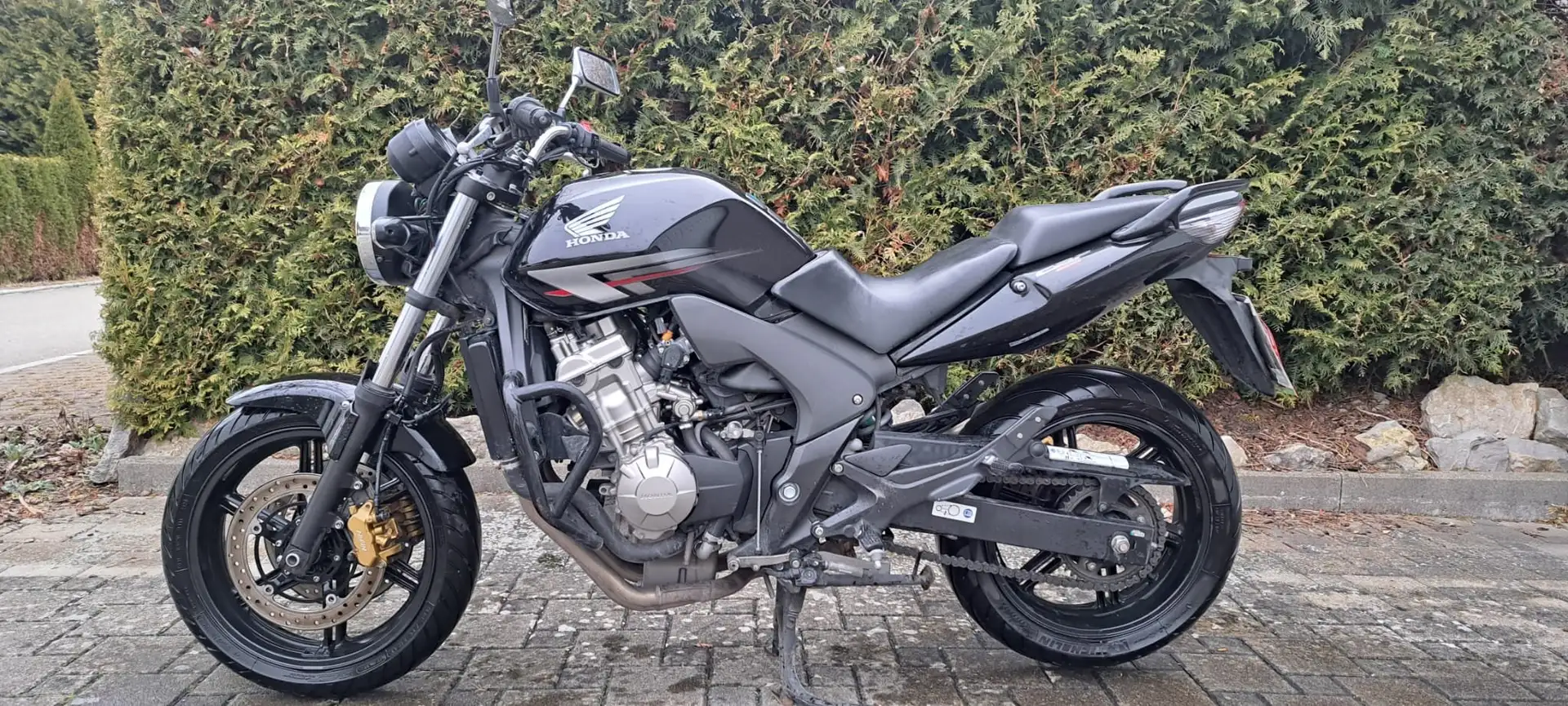 Honda CBF 600 Schwarz - 1