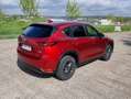 Mazda CX-5 2.0i SKYACTIV-G 2WD Premium Ed. (EU6d-T) Rouge - thumbnail 3