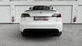 Tesla Model Y RWD | 20" Induction velgen | *GERESERVEERD* Белый - thumbnail 13