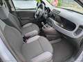 Fiat Panda 1.2 EasyPower Easy Grigio - thumbnail 9