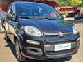 Fiat Panda Panda 2020 - 1.2 benzina Negru - thumbnail 8