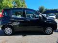 Fiat Panda Panda 2020 - 1.2 benzina Negru - thumbnail 7