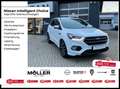 Ford Kuga 1.5 EcoBoost ST-Line Automatik Navi Kamera Weiß - thumbnail 1