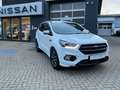 Ford Kuga 1.5 EcoBoost ST-Line Automatik Navi Kamera Weiß - thumbnail 2