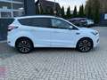 Ford Kuga 1.5 EcoBoost ST-Line Automatik Navi Kamera Weiß - thumbnail 7
