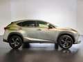 Lexus NX 300 h 2.5 Premium 4wd cvt - thumbnail 5