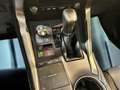 Lexus NX 300 h 2.5 Premium 4wd cvt - thumbnail 18