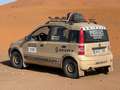 Fiat Panda Panda 1.2 Dynamic Dynamic Gold - thumbnail 2