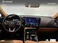 Lexus NX 350h Executive+ 2WD Grün - thumbnail 8
