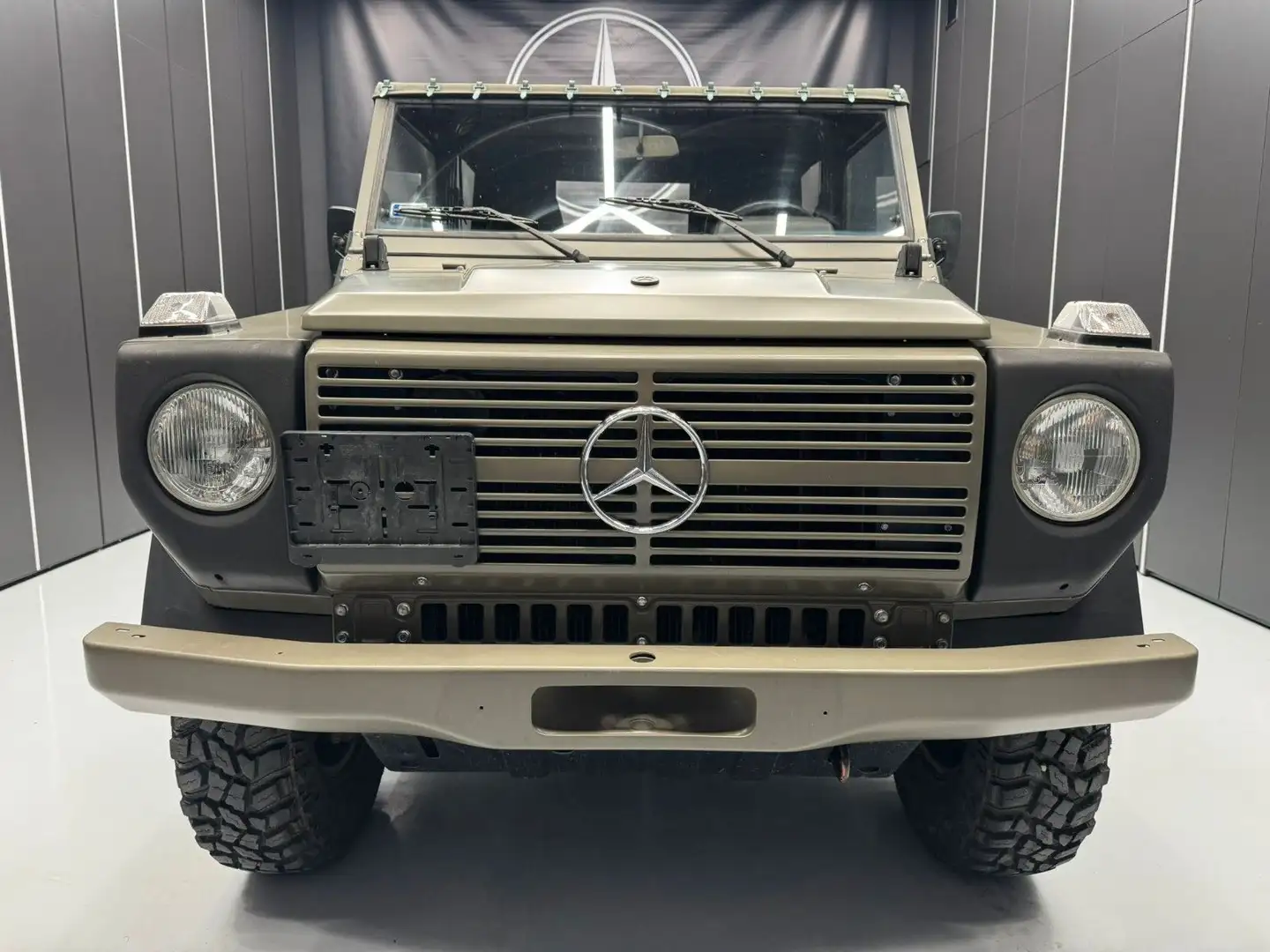 Mercedes-Benz G 250 Wolf GDNV 3-2 ÖBH Grün - 2