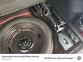 Volkswagen Tiguan 1.5 eTSI R-Line DSG GAR2029 Navi Pano Kam Rot - thumbnail 12