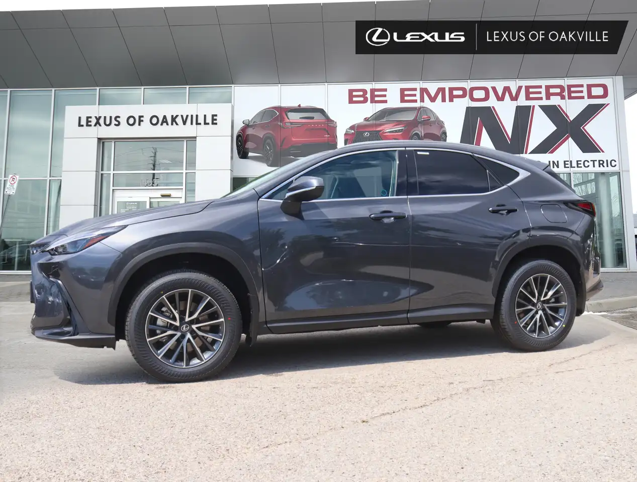 Lexus NX fotografie Lexus NX