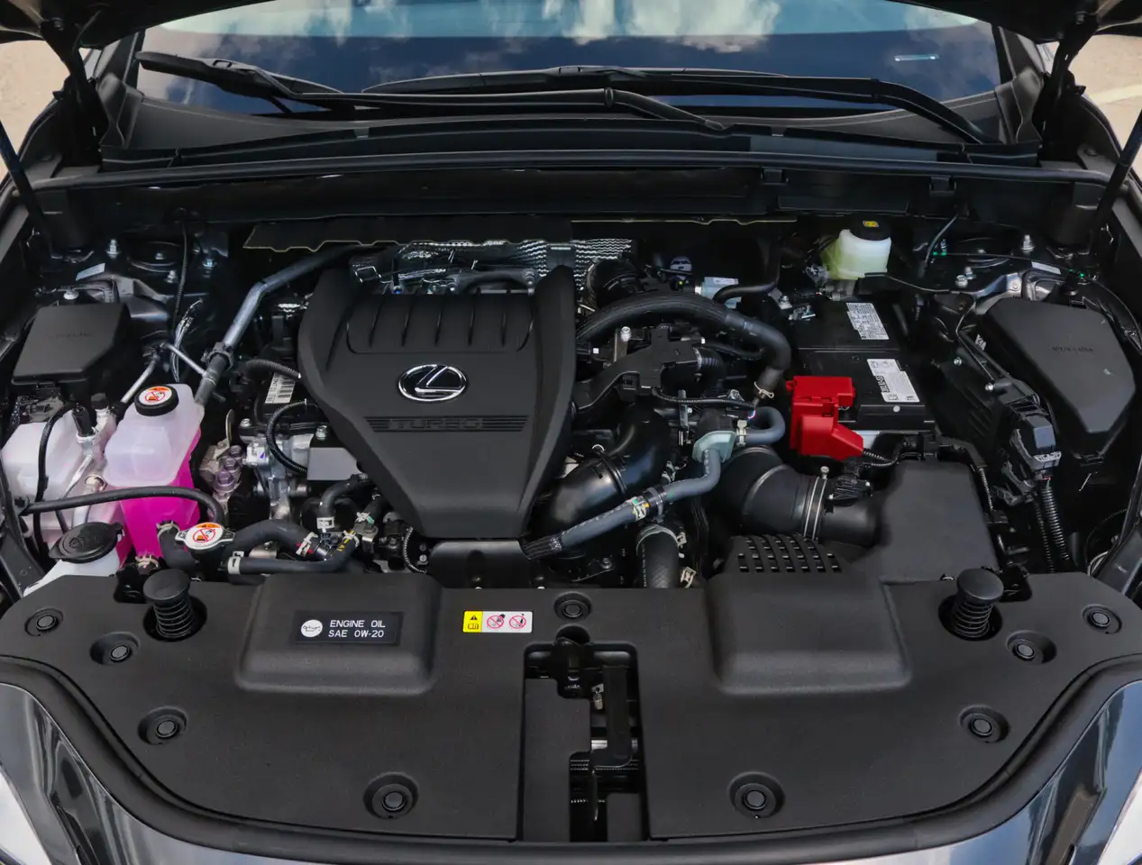 Lexus NX fotografie Lexus NX