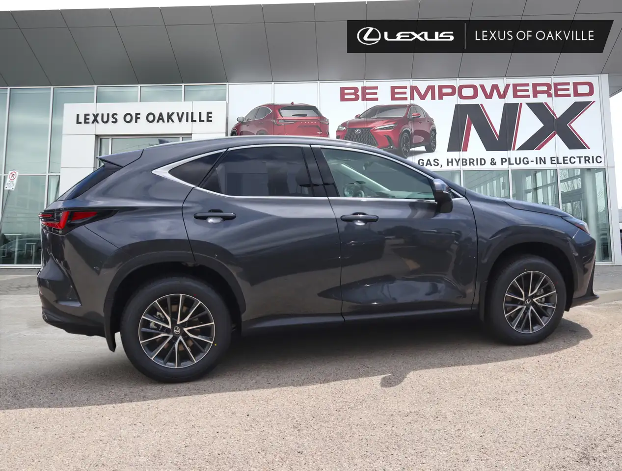 Lexus NX fotografie Lexus NX
