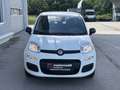 Fiat Panda 4x2 FireFly Hybrid 70 Icon Weiß - thumbnail 2