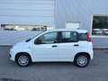 Fiat Panda 4x2 FireFly Hybrid 70 Icon Weiß - thumbnail 3