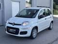 Fiat Panda 4x2 FireFly Hybrid 70 Icon Weiß - thumbnail 1