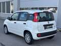 Fiat Panda 4x2 FireFly Hybrid 70 Icon Weiß - thumbnail 4