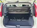 Fiat Panda 4x2 FireFly Hybrid 70 Icon Weiß - thumbnail 6
