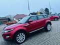 Land Rover Range Rover Evoque Prestige*ALLRAD*LEDER*KAMERA* Rot - thumbnail 1