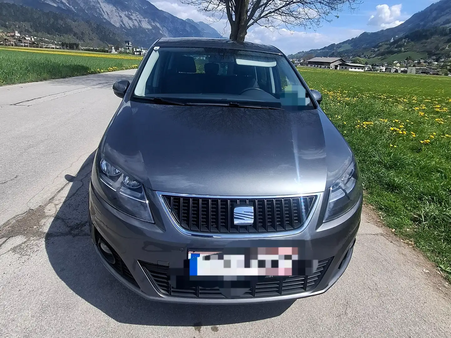 SEAT Alhambra Executive Grau - 1