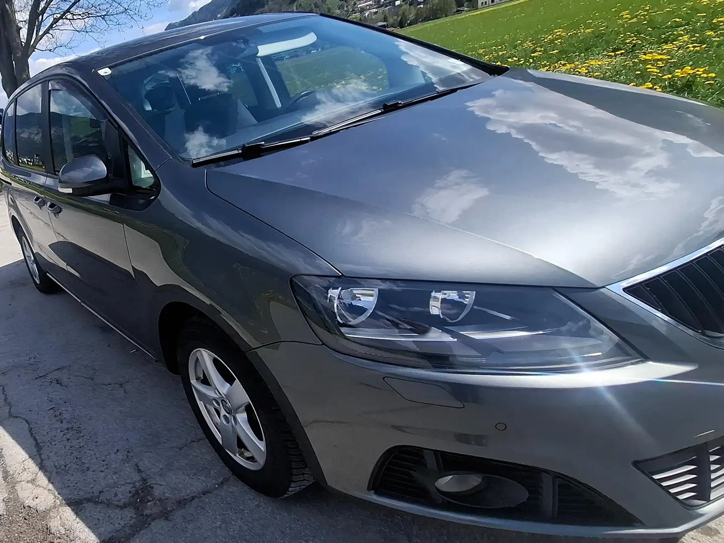 SEAT Alhambra Executive Grau - 2