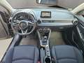 Mazda 2 SPORTS-LINE ++NAVI+LED+Carplay-Android-Auto++ Schwarz - thumbnail 12
