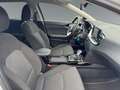 Kia Ceed / cee'd Ceed 1.5l SW T-GDI Kamera*SHZ*LHZ*CarPlay Silber - thumbnail 16