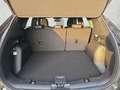 Ford Kuga ST-Line 1.5 EB Autom. ST Line X ACC B&O AHK 5J.... Grau - thumbnail 14
