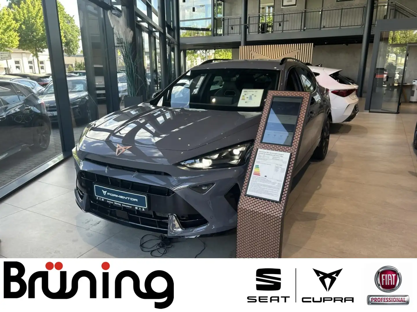 CUPRA Formentor 2.0 TSI VZ 4Drive /AHK/ Matrix LED Klima Navi Grau - 1