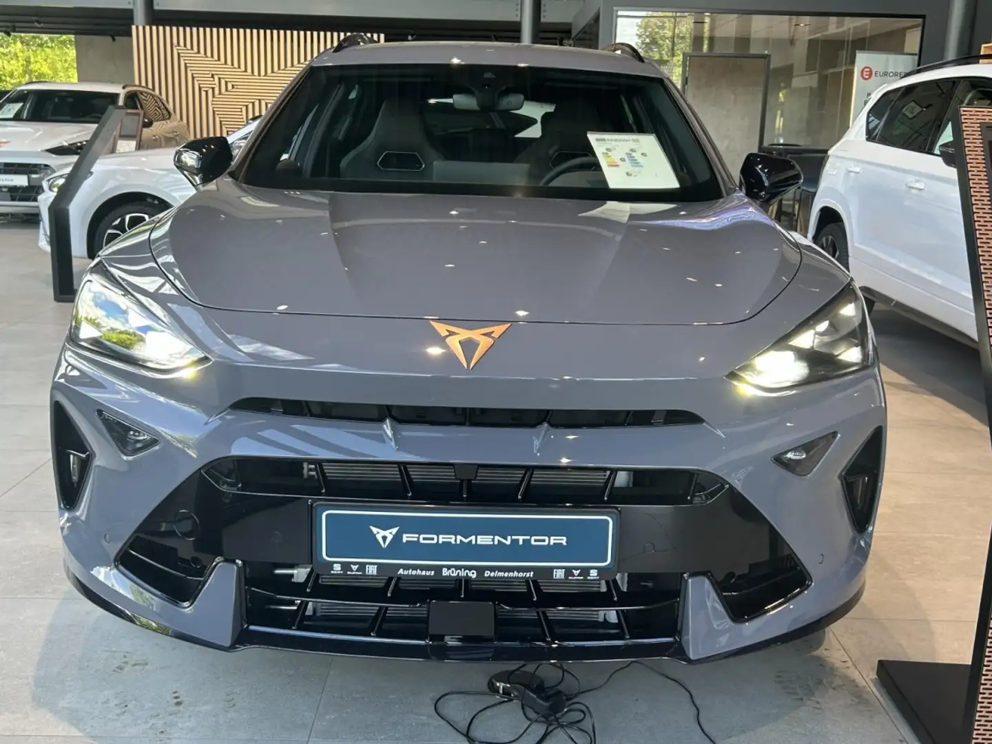 CUPRA Formentor 2.0 TSI VZ 4Drive /AHK/ Matrix LED Klima Navi Grau - 2