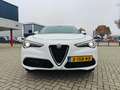 Alfa Romeo Stelvio 2.0 T AWD Super (280 PK) Facelift Wit - thumbnail 2