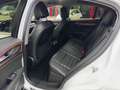 Alfa Romeo Stelvio 2.0 T AWD Super (280 PK) Facelift Wit - thumbnail 13